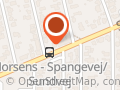 Salon Fænomen