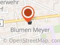 Blumen Meyer