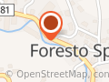 FOREST PIZZA