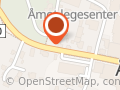 Åmot Antikk og Auksjon Roger Sunne Nilsen