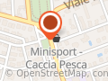 Mini Sport