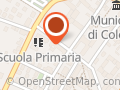 Suore Francescane Missionarie