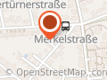 Mit Pferde und Esel Zusammen Sein