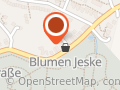 RolliBee.de Rollstuhltaxi
