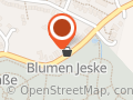 O. Bollweg und H. Temme Krankenpflege zu Hause
