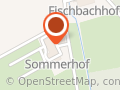Pferdepension Sommer (Sommerhof)