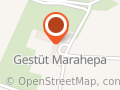 Gestuet Marahepa