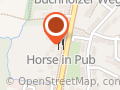 Horse In Pub