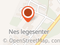Nes fysioterapi